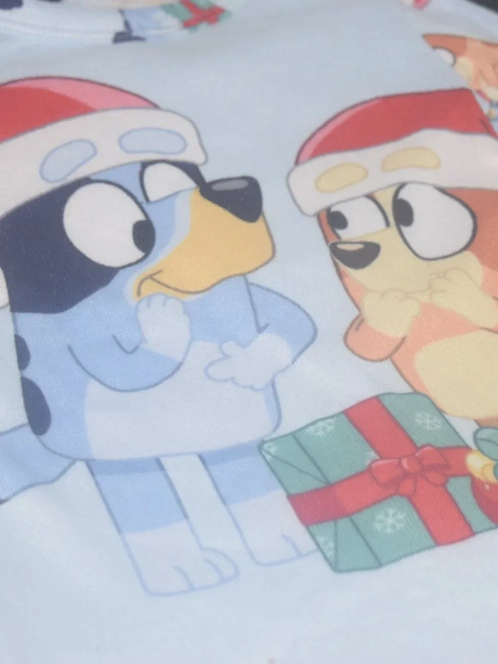 Bluey ultimate cozy